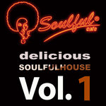 Delicious Soulful House Vol 1