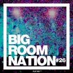 Big Room Nation, Vol 26