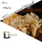 Phenomenal Stock Vol 3