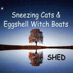 Sneezing Cats & Eggshell Witch Boats
