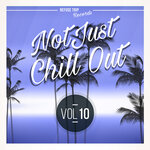 Not Just Chill Out Vol 10