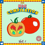NDE Compilation 002 Vol 1