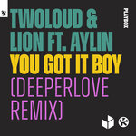 You Got It Boy (Deeperlove Remix)