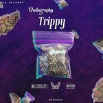 Trippy (Explicit)