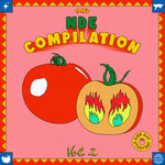 NDE Compilation 002 Vol 2