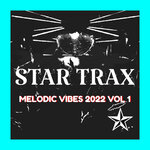 Melodic Vibes 2022 Vol 1