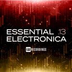 Essential Electronica, Vol 13