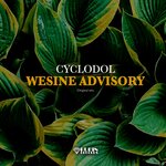 Wesine Advisory (Original Mix)