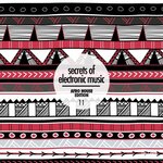 Secrets Of Electronic Music: Afro House Edition, Vol 11