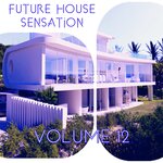 Future House Sensation, Vol 12 (Best Selection Of Clubbing House Tracks)
