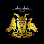 Selador Reloads Vol 5: Robert Babicz X Timo Maas