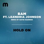 Hold On (David Harness Remixes)