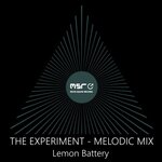 The Experiment (Melodic Mix)