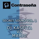 Secret Sound, Vol 1