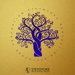 Steyoyoke Perception Vol 09
