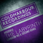 The Labyrinth (Cameron Mo & Seegmo Extended Remix)