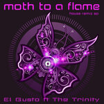 Moth To A Flame (House Remix EP)