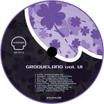 Grooveland, Vol VI