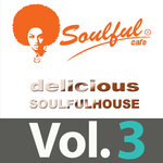 Delicious Soulful House Vol 3