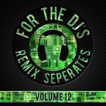 For The DJs Vol 12 (Explicit)