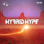 Hybrid Hype