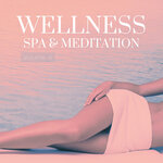 Wellness, Spa & Meditation, Vol 4