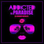 Addicted To Paradise, Vol 2 (25 Groove Rockets)