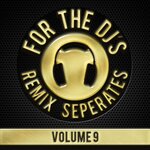 For The DJs Vol 9 (Explicit)