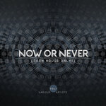 Now Or Never, Vol 1 (Tech House ONLY!)