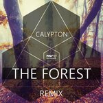 The Forest (Remix)