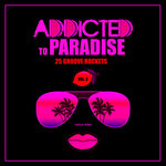 Addicted To Paradise, Vol 3 (25 Groove Rockets)