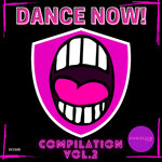 Dance Now! Compilation Vol 2