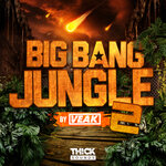 Big Bang Jungle 2 By Veak (Sample Pack WAV/MIDI/Serum Presets)