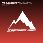 Why Don't You (Original Mix)