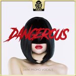 Dangerous (Dark Promo Vocals)