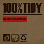 100% Tidy, Vol 6