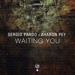 Waiting You (Original Mix)