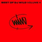 Best Of DJ W!ld, Vol 4