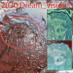 2020 Dream_Vision(TM)