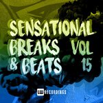 Sensational Breaks & Beats, Vol 15