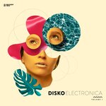 Disko Electronica Vol 1