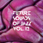 Future Sounds Of Jazz, Vol 12