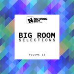 Nothing But... Big Room Selections, Vol 13