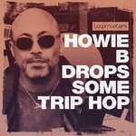 Howie B Drops Some Trip Hop (Sample Pack WAV)