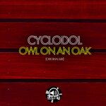 Owl On An Oak (Original Mix)