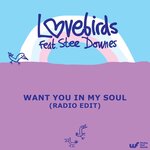 Want You In My Soul (Radio Edit)