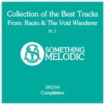 Collection Of The Best Tracks From: Rautu & The Void Wanderer Pt 1