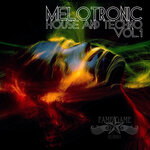 Melotronic House And Techno, Vol 1