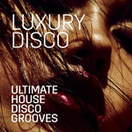 Sexy Funky House Grooves (Explicit)