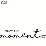 Enjoy The Moment, Vol 1